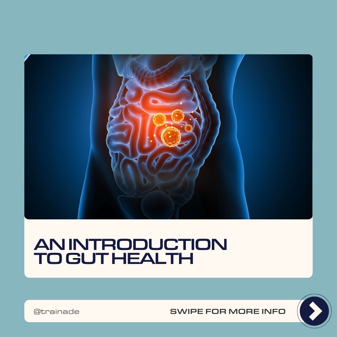 An Introduction to Gut Health