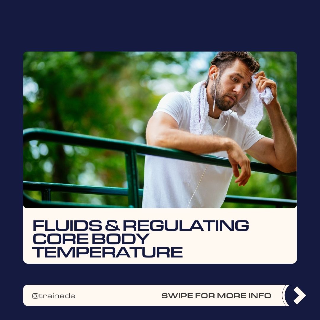 How Fluid Helps Regulate Core Body Temperature