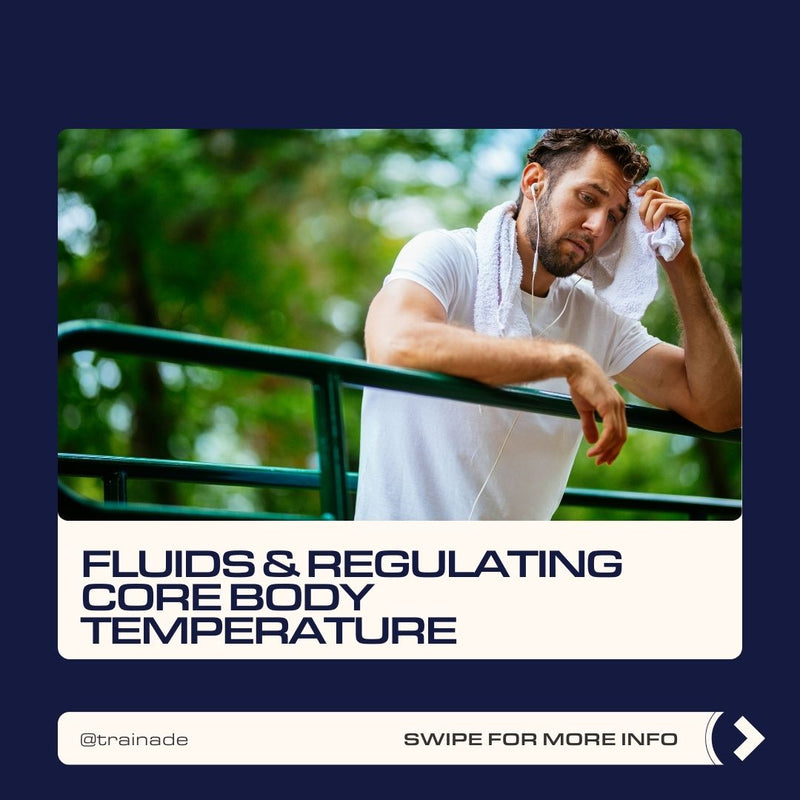 How Fluid Helps Regulate Core Body Temperature