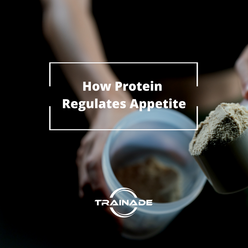 Protein and Appetite Control