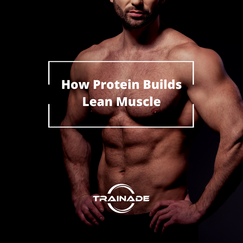 How Protein Helps Build Lean Muscle