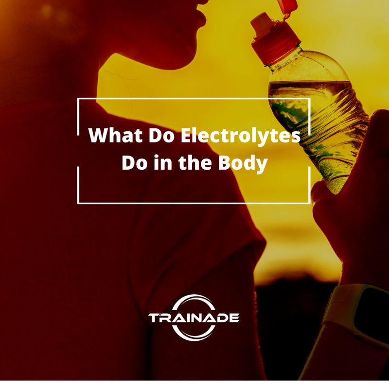 What Do Electrolytes Do in the Body