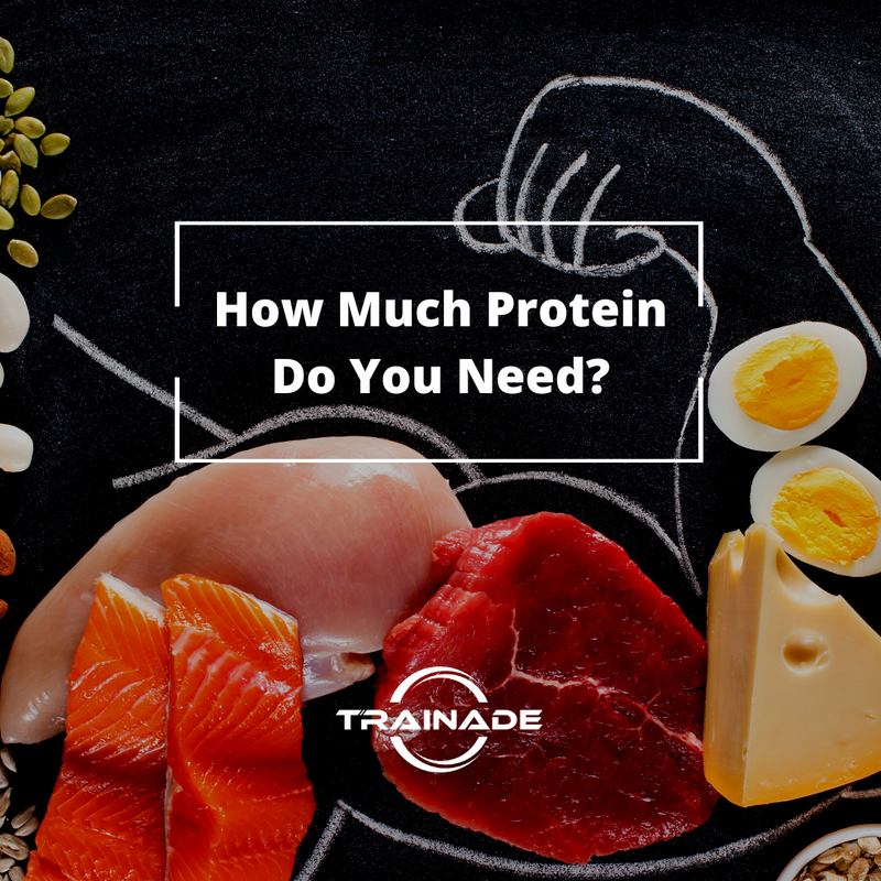 How Much Protein Do You Need?