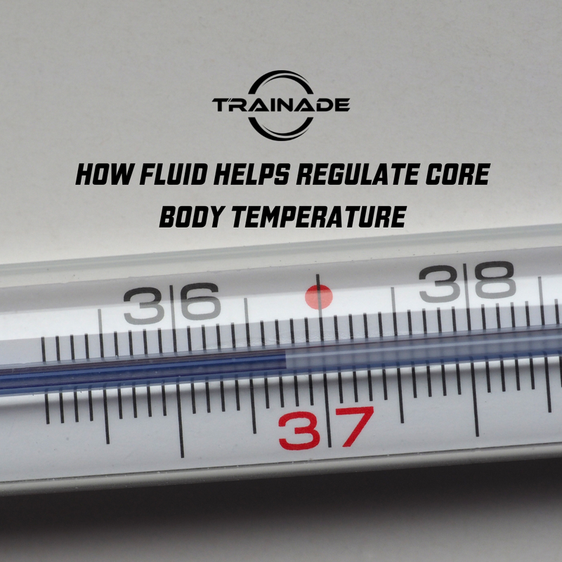 How Fluid Helps Regulate Core Body Temperature
