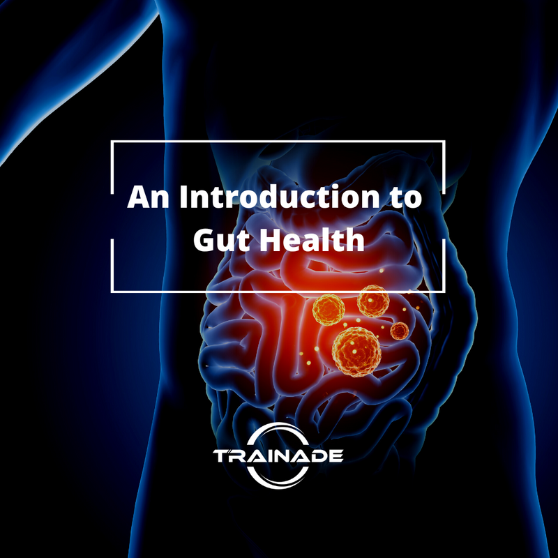 An Introduction to Gut Health