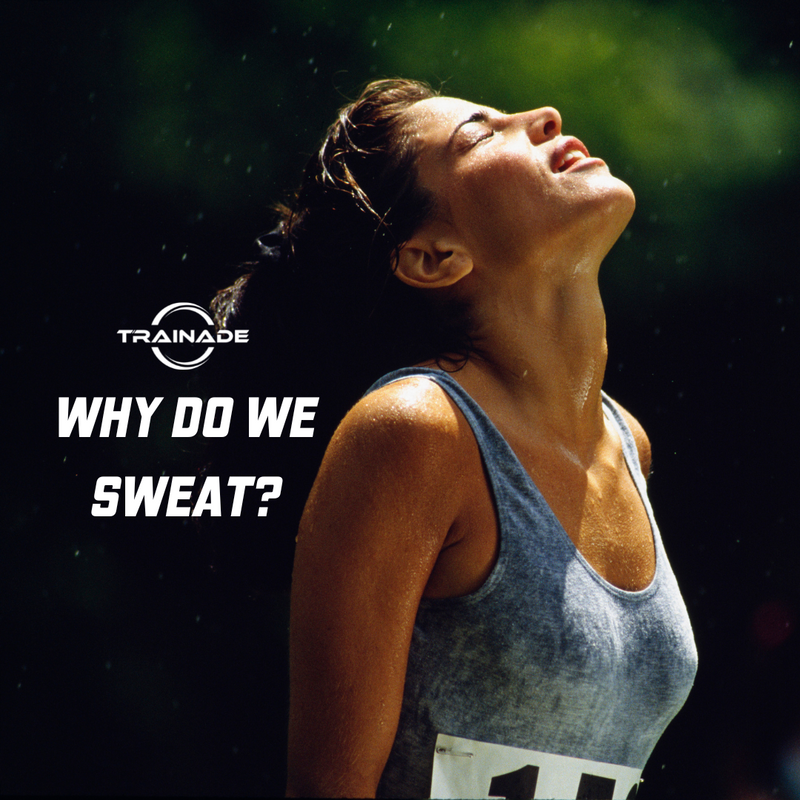 Why Do We Sweat?